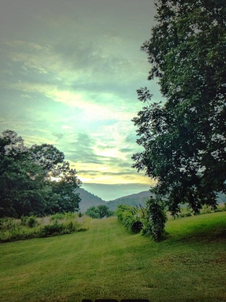 525527 Shady Grove Road Property Photo 8