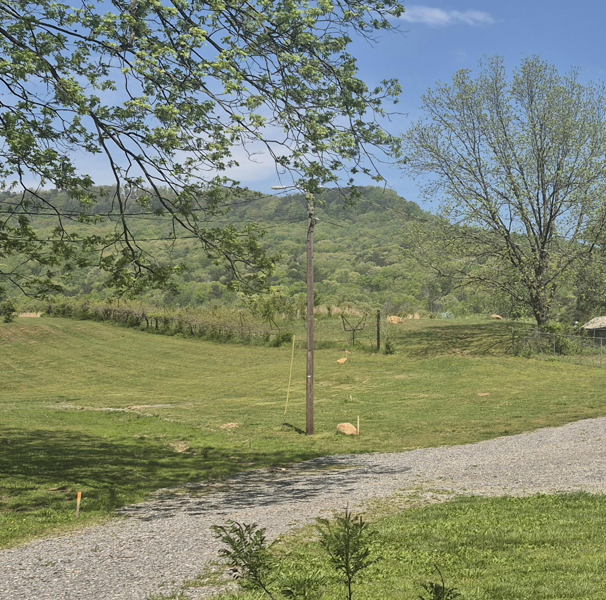 525527 Shady Grove Road Property Photo 10