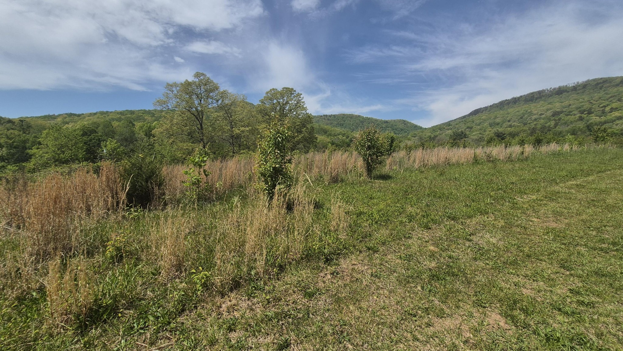 525527 Shady Grove Road Property Photo 11