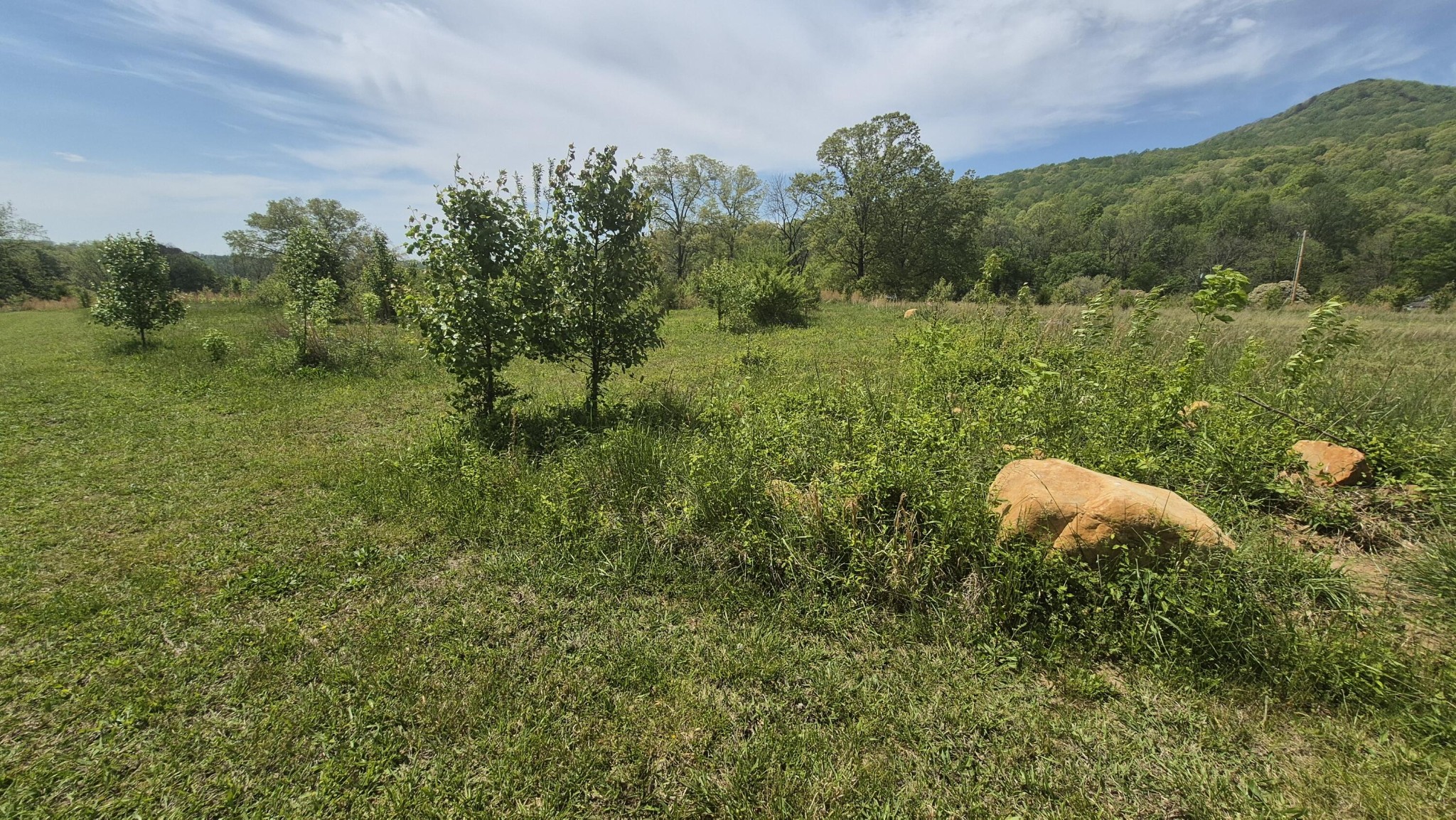 525527 Shady Grove Road Property Photo 12