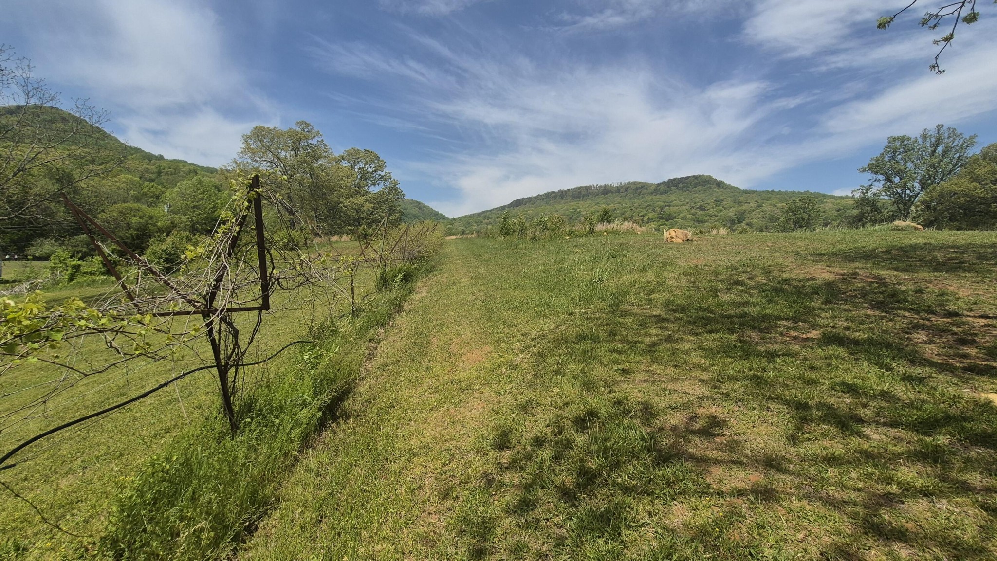 525527 Shady Grove Road Property Photo 13