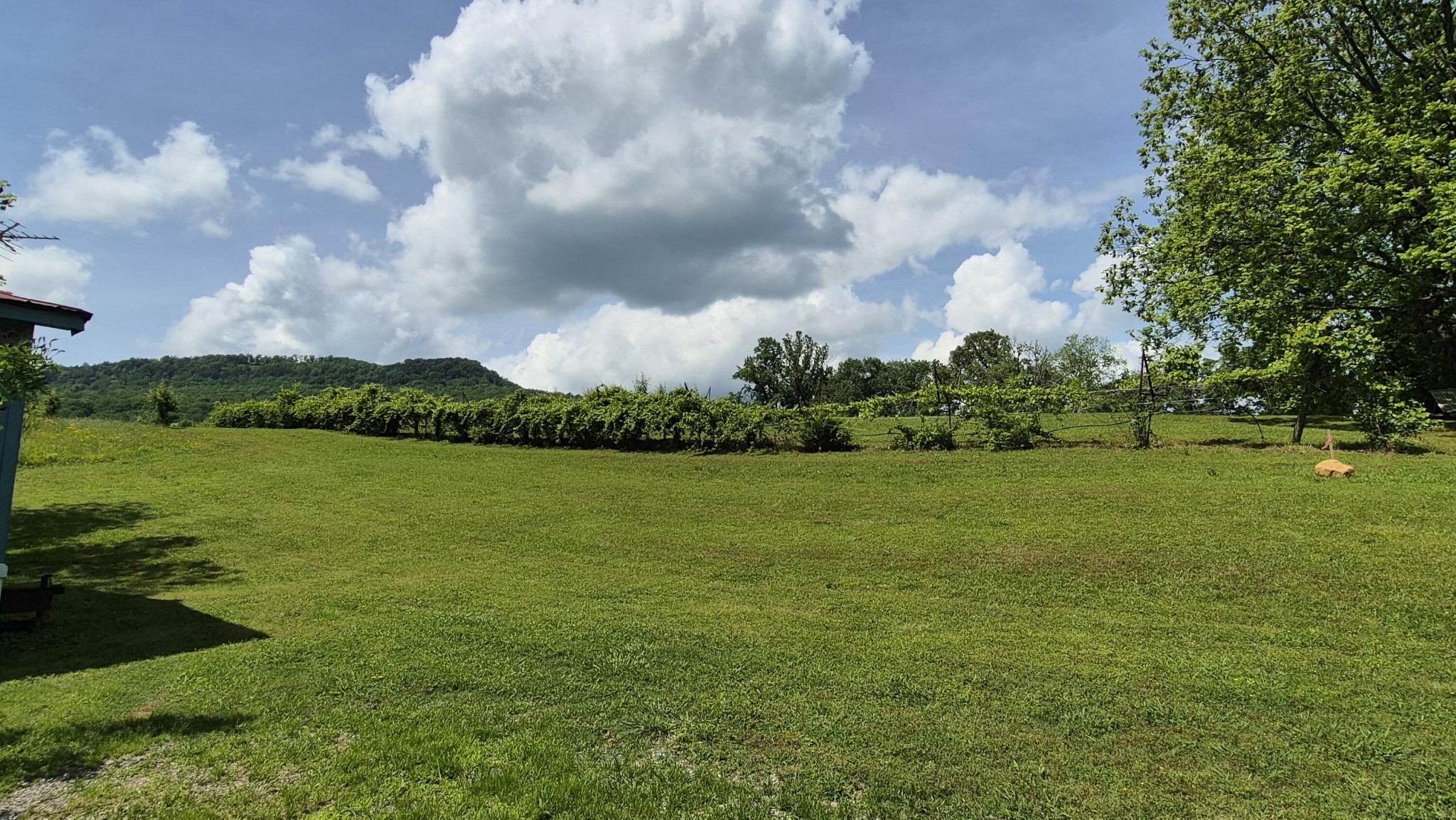 525527 Shady Grove Road Property Photo 15