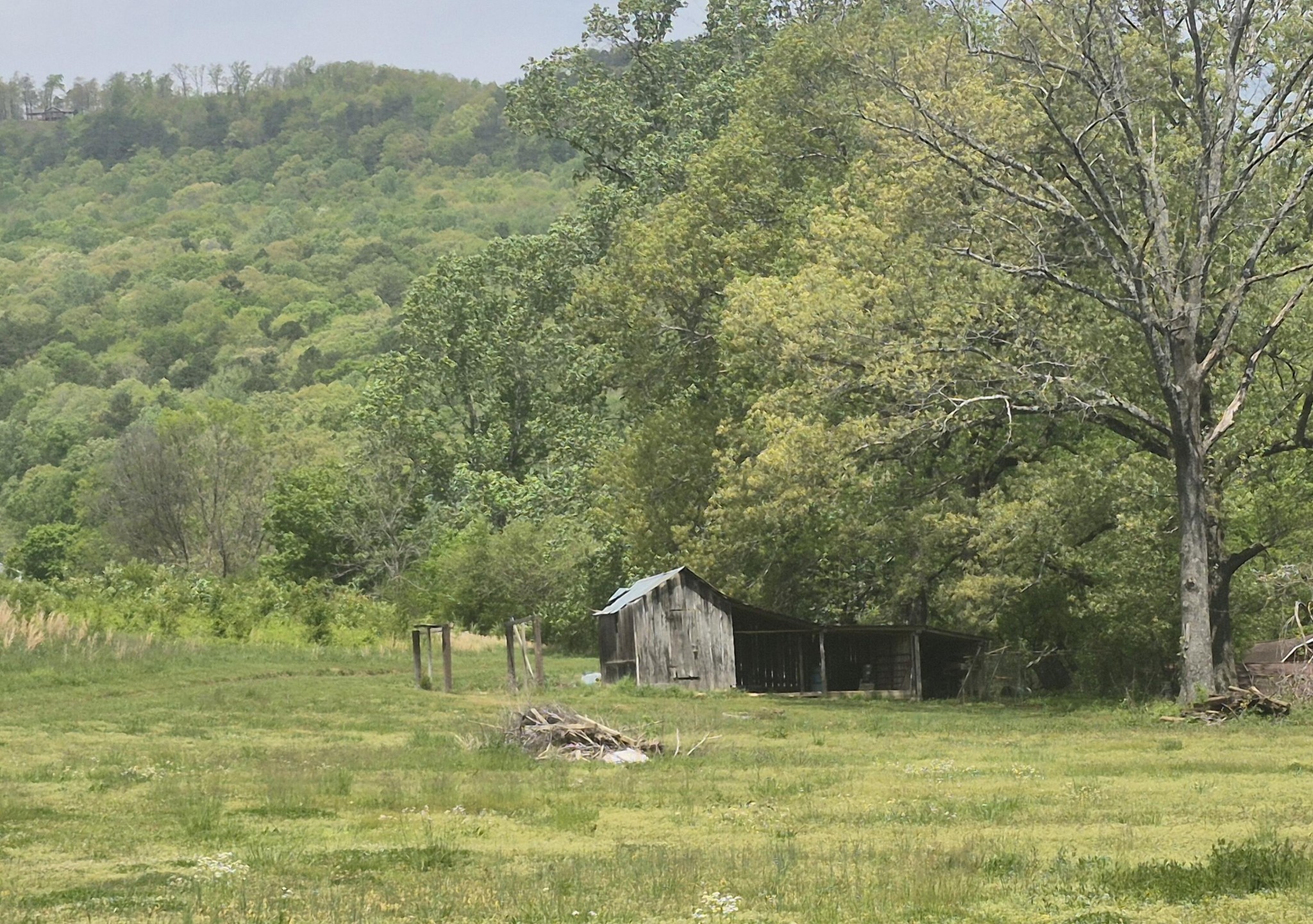 525527 Shady Grove Road Property Photo 37