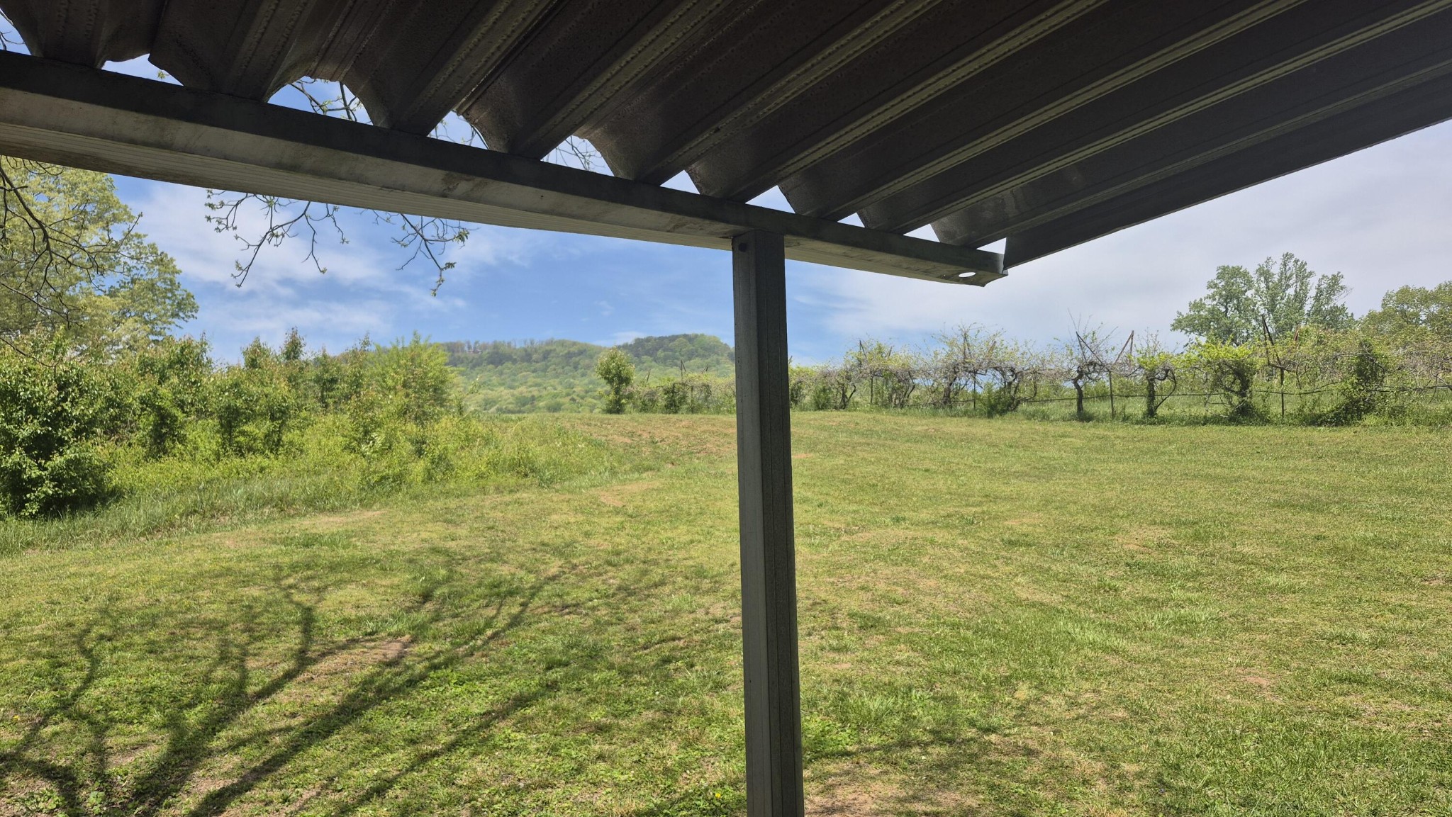525527 Shady Grove Road Property Photo 49