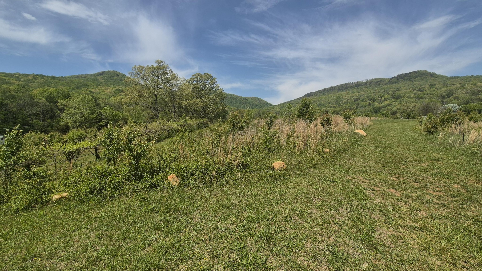 525527 Shady Grove Road Property Photo 51