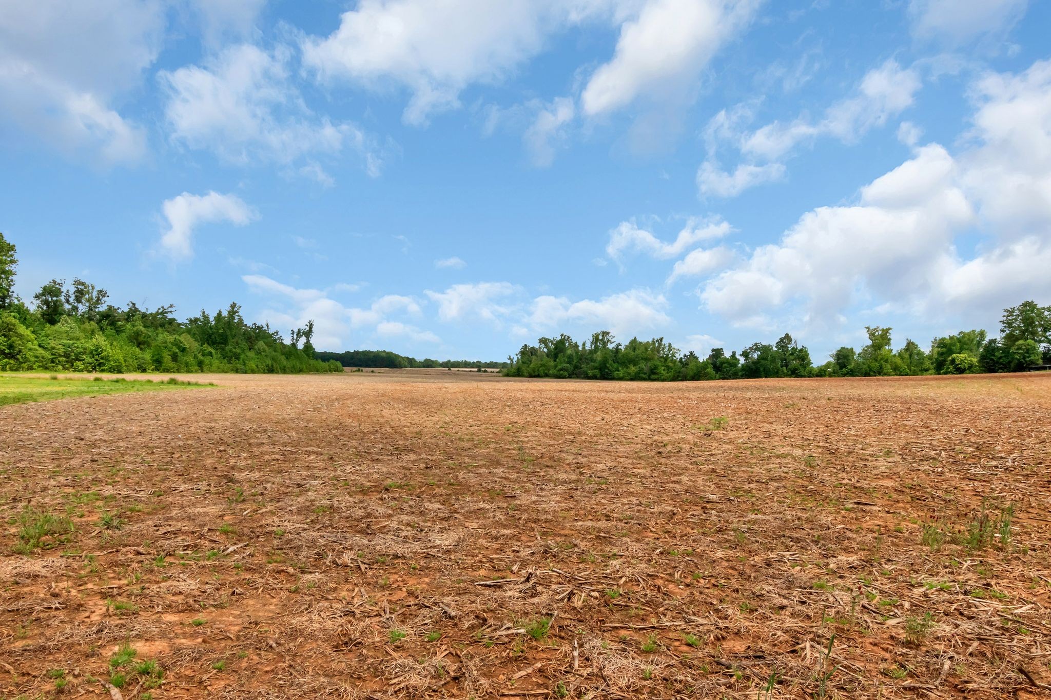 3211 Gum Creek Rd Property Photo 7