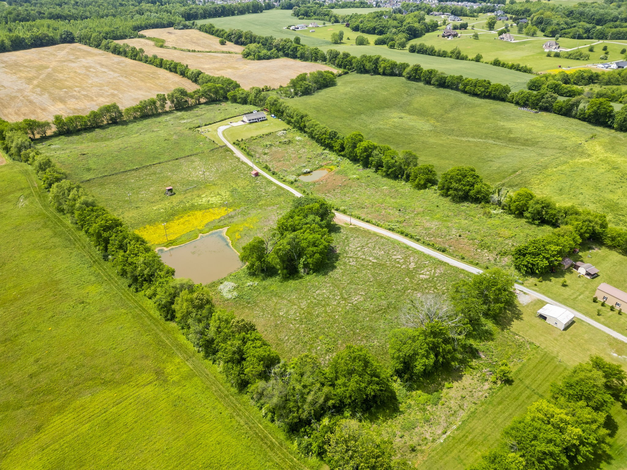 6015 Highway 76, E Property Photo 4