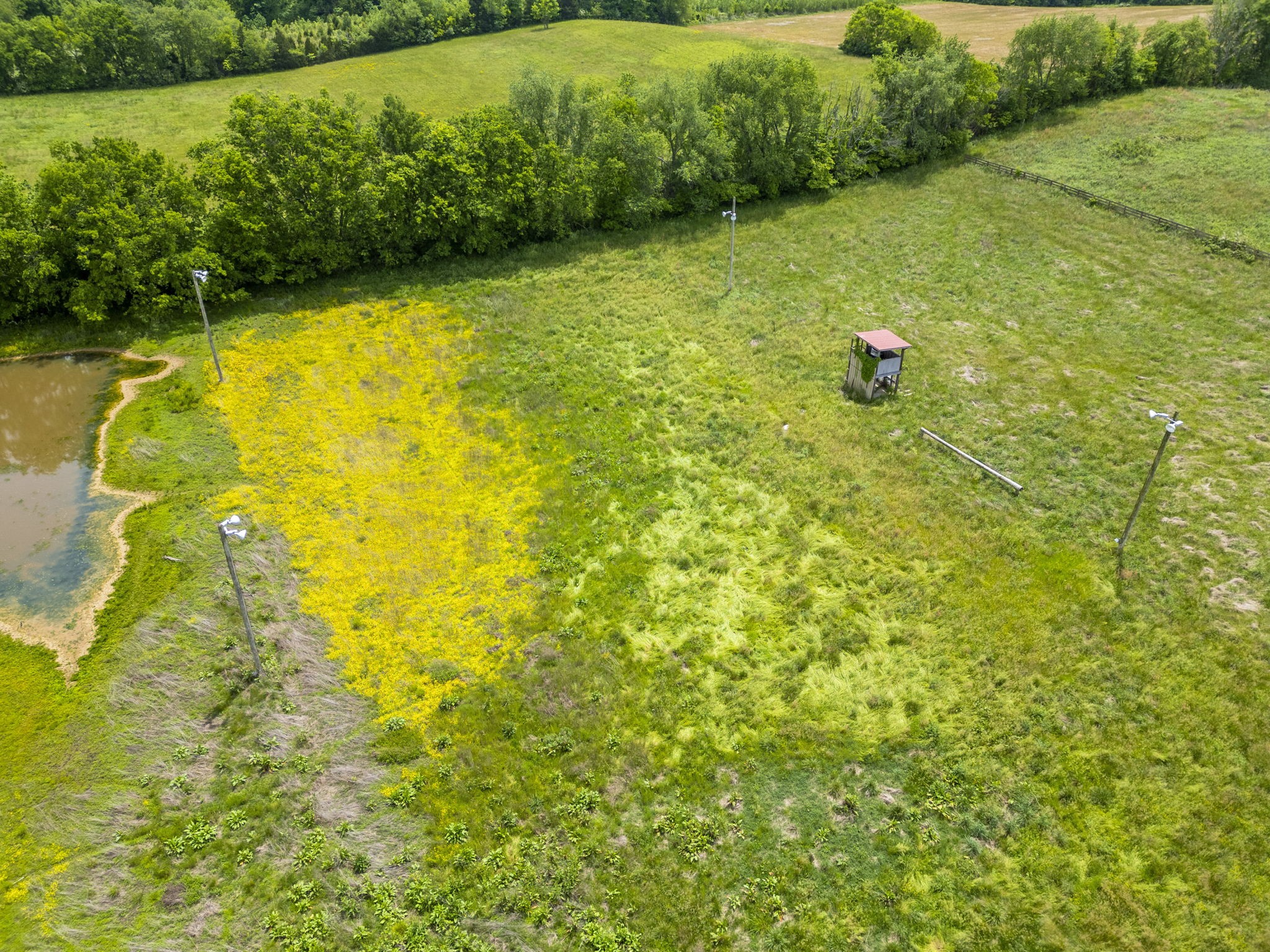 6015 Highway 76, E Property Photo 41