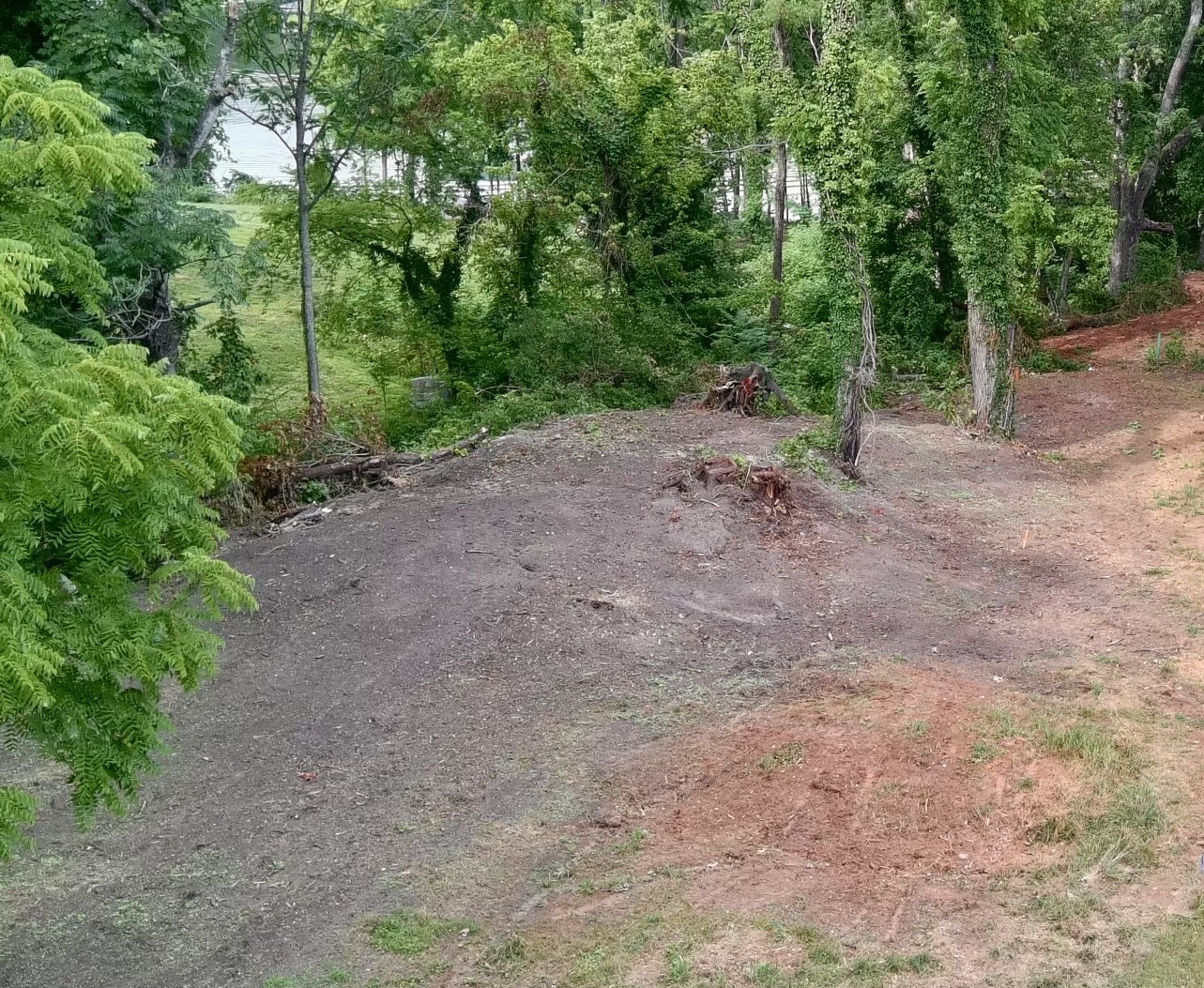 804a N Jefferson St Property Photo 3