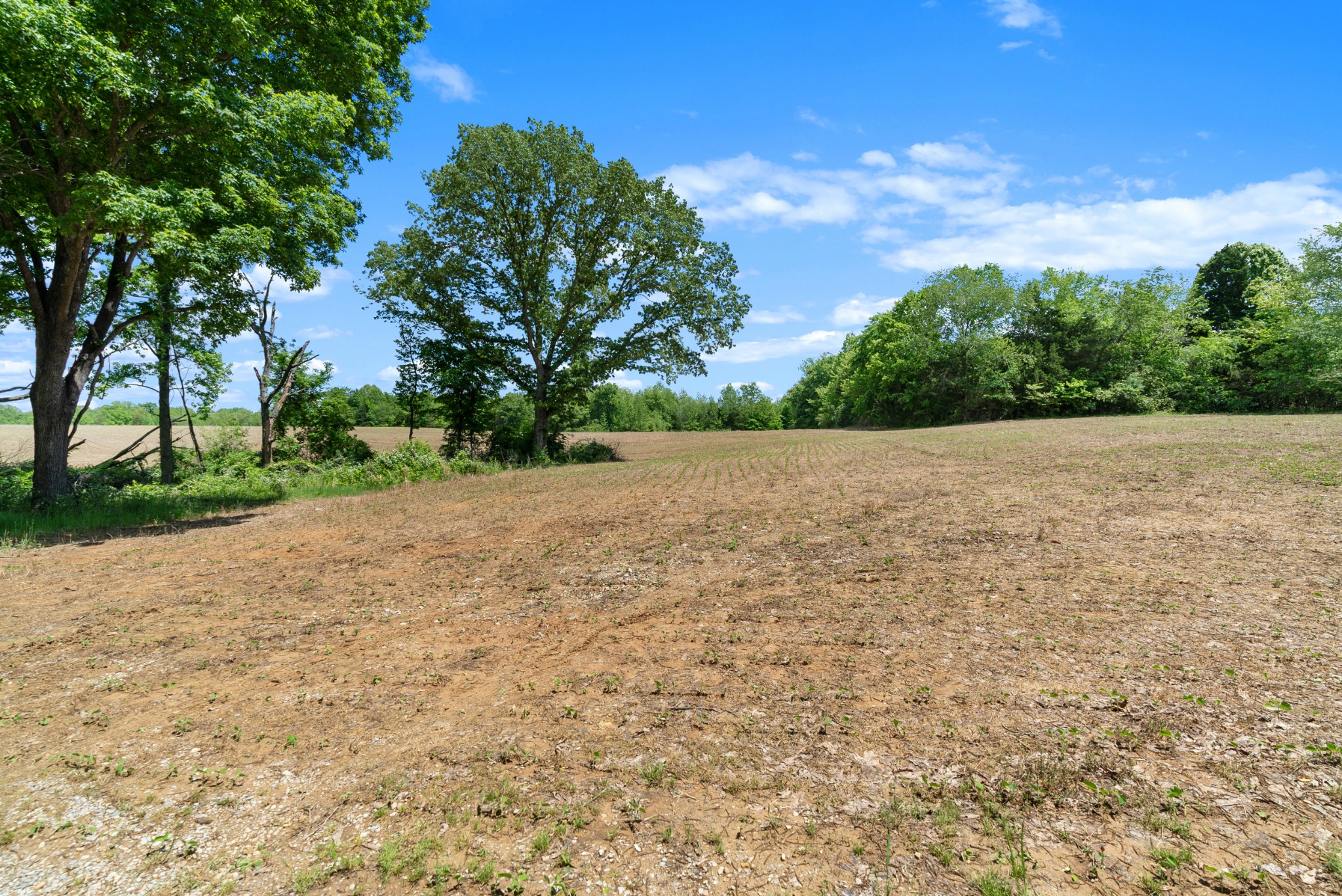 1 Tom Austin Hwy Property Photo 4