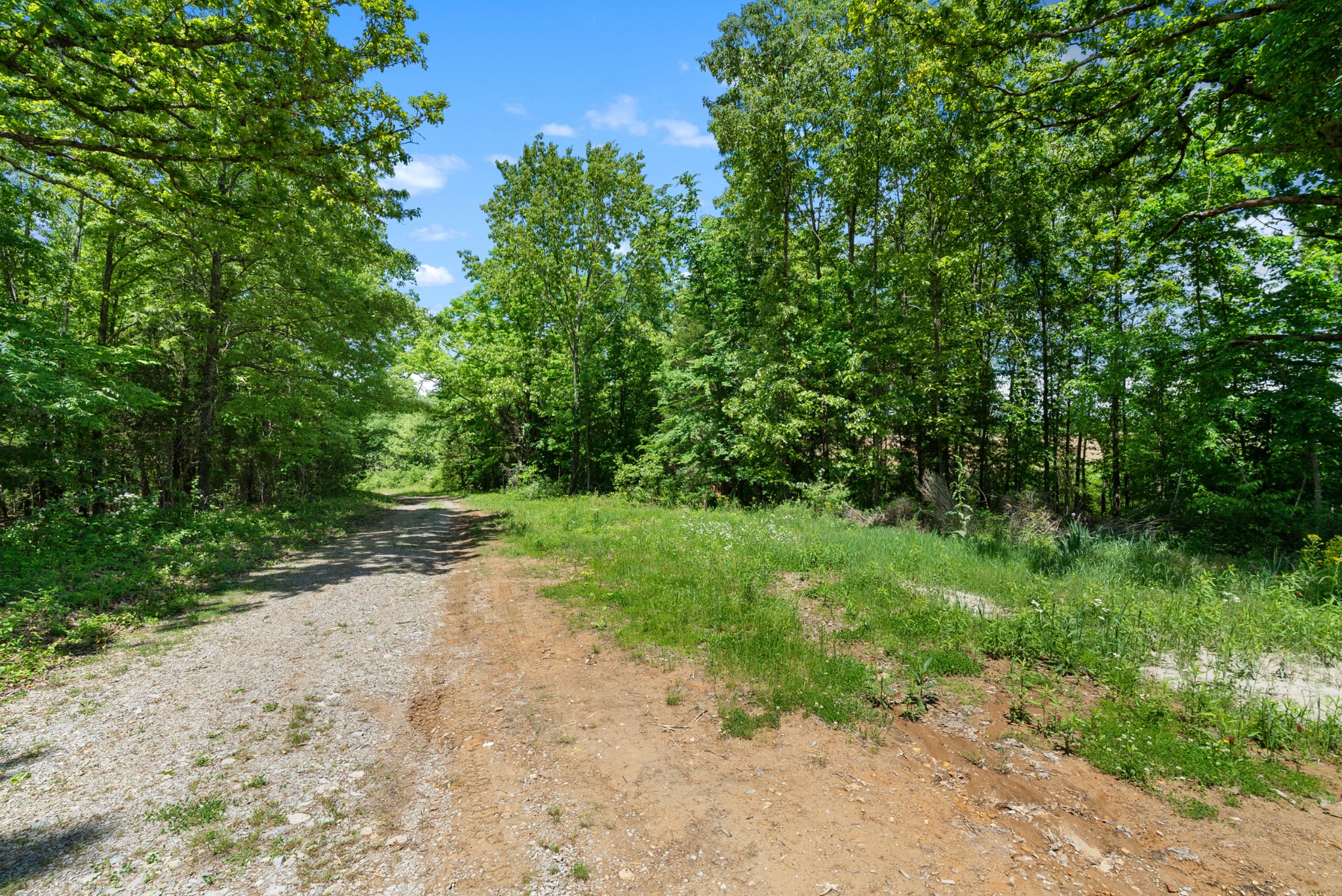 1 Tom Austin Hwy Property Photo 28