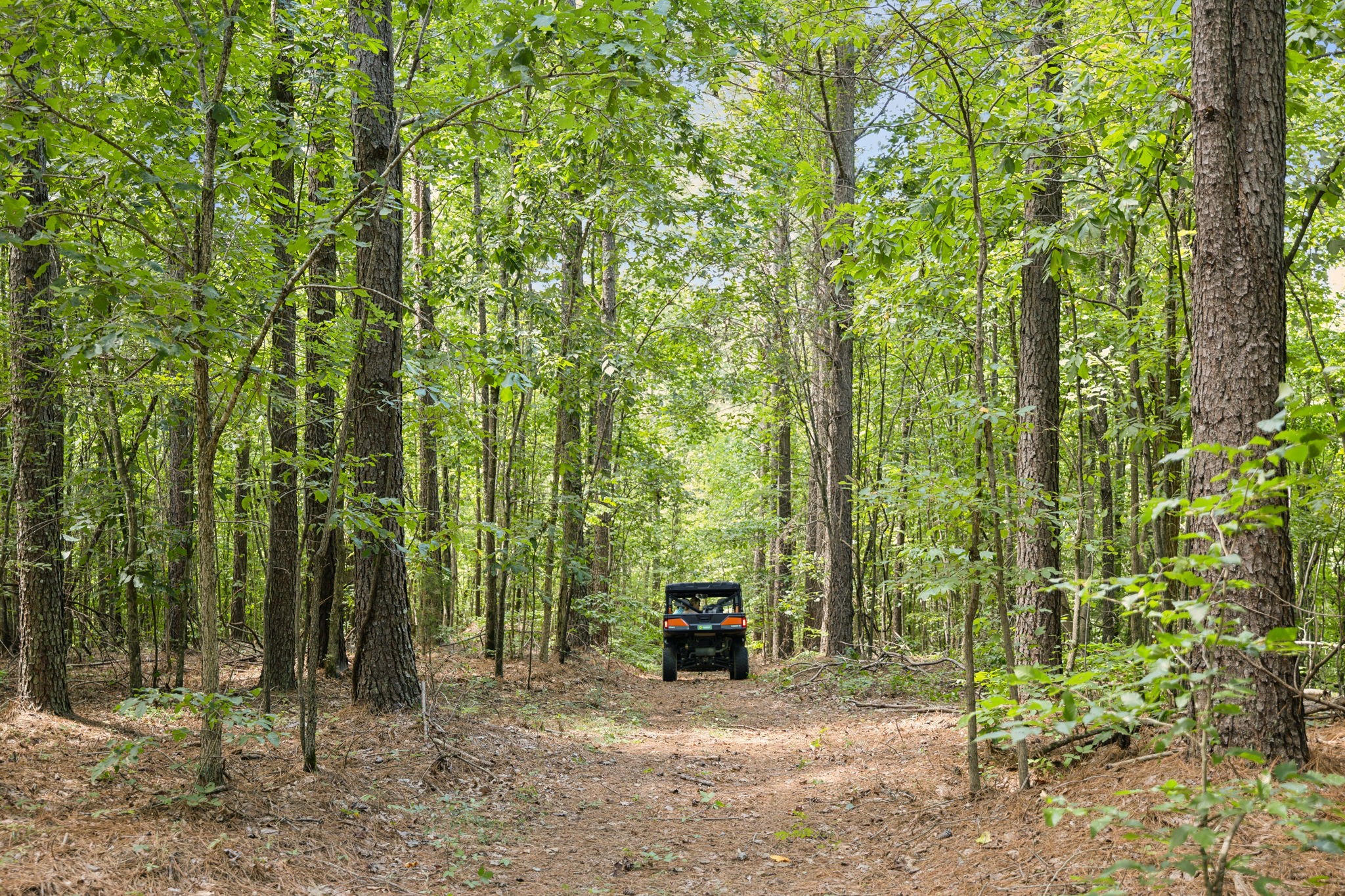 9971 Birdsong Road Property Photo