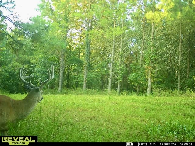 0 Duck River Property Photo 1