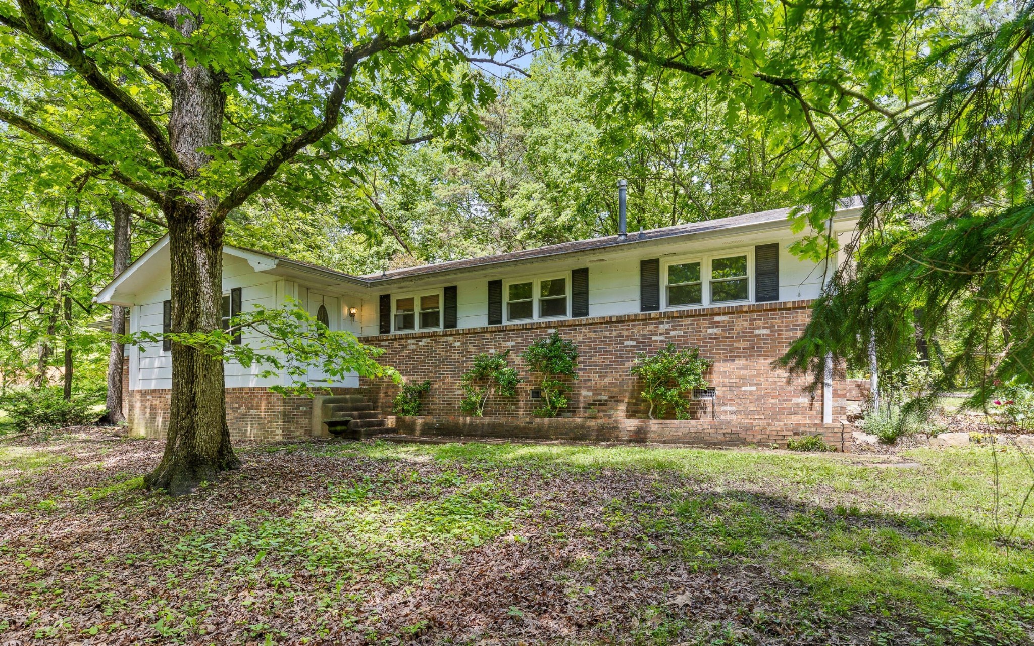 609 Albert Road Property Photo