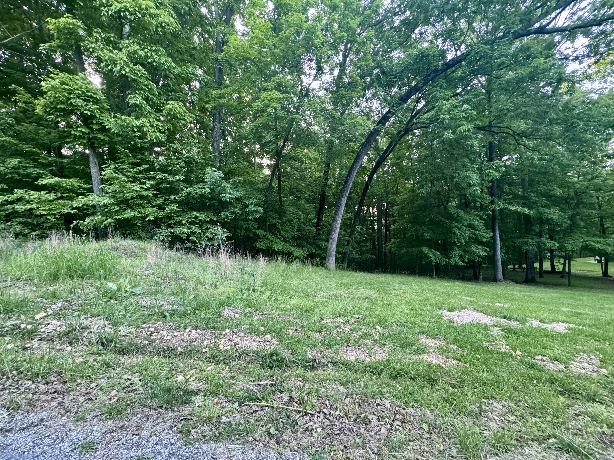 0 Osprey Landing Property Photo