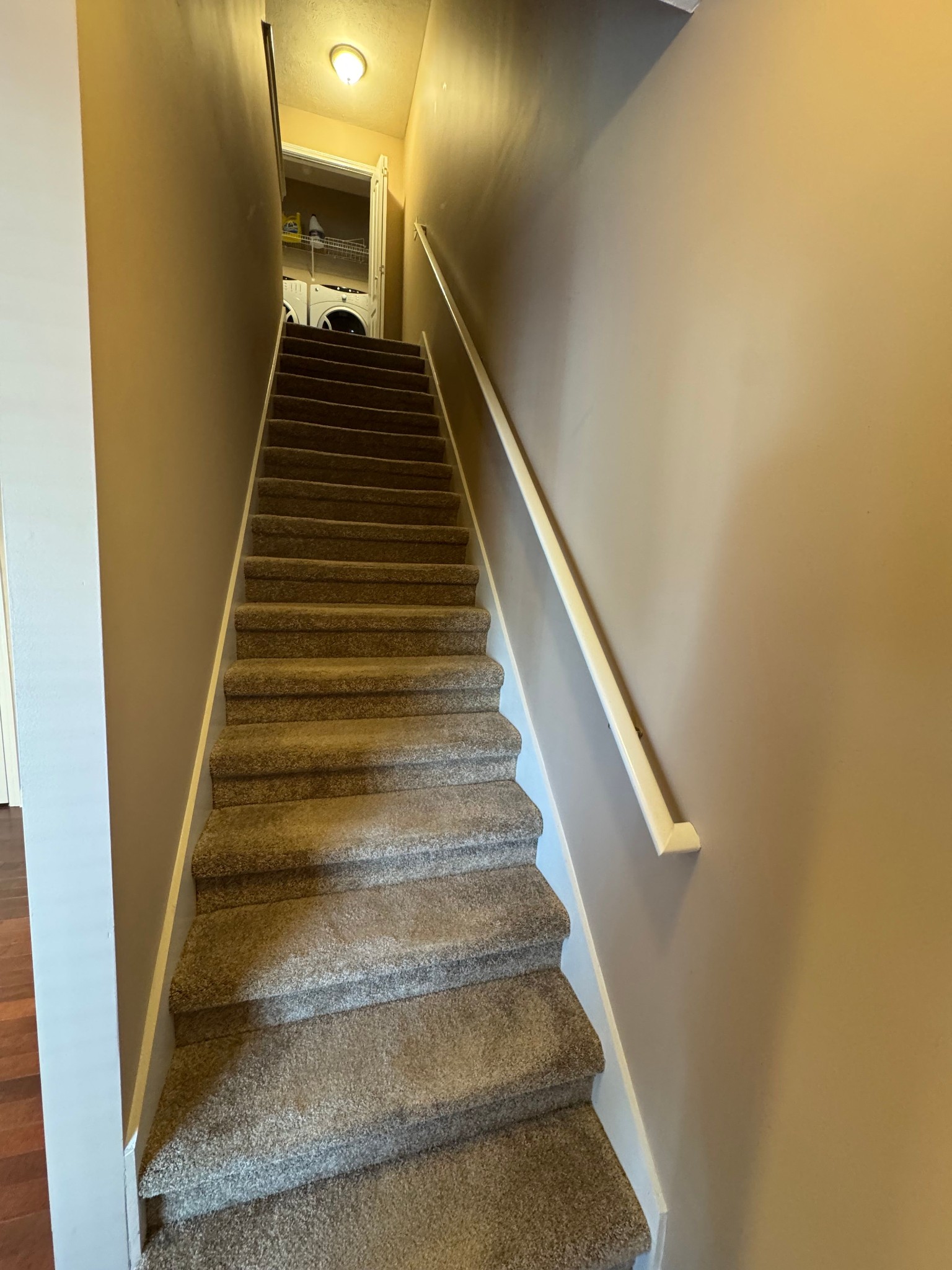 5154 Southfork Blvd Property Photo 12