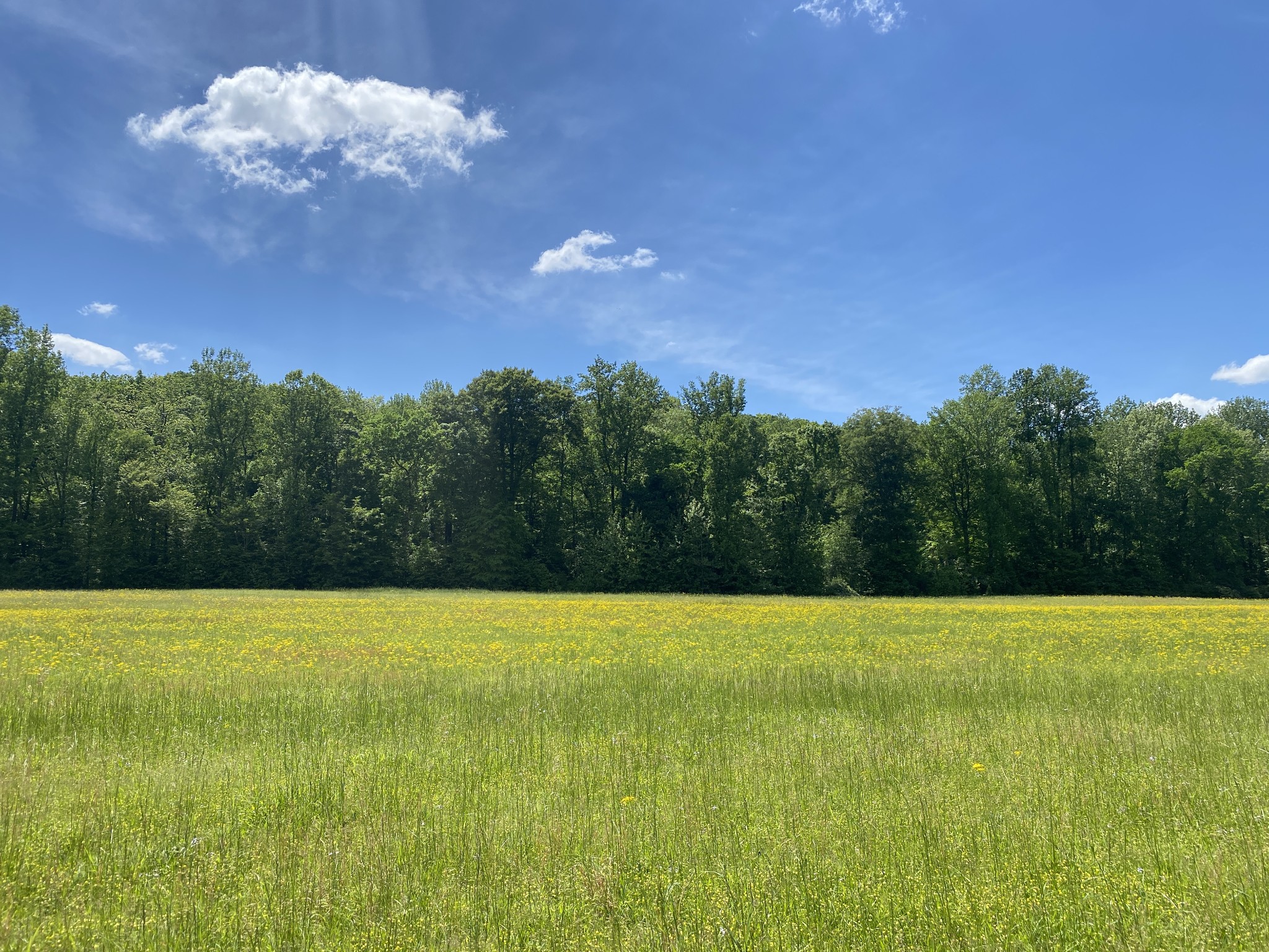 0 Lick Creek Rd Property Photo