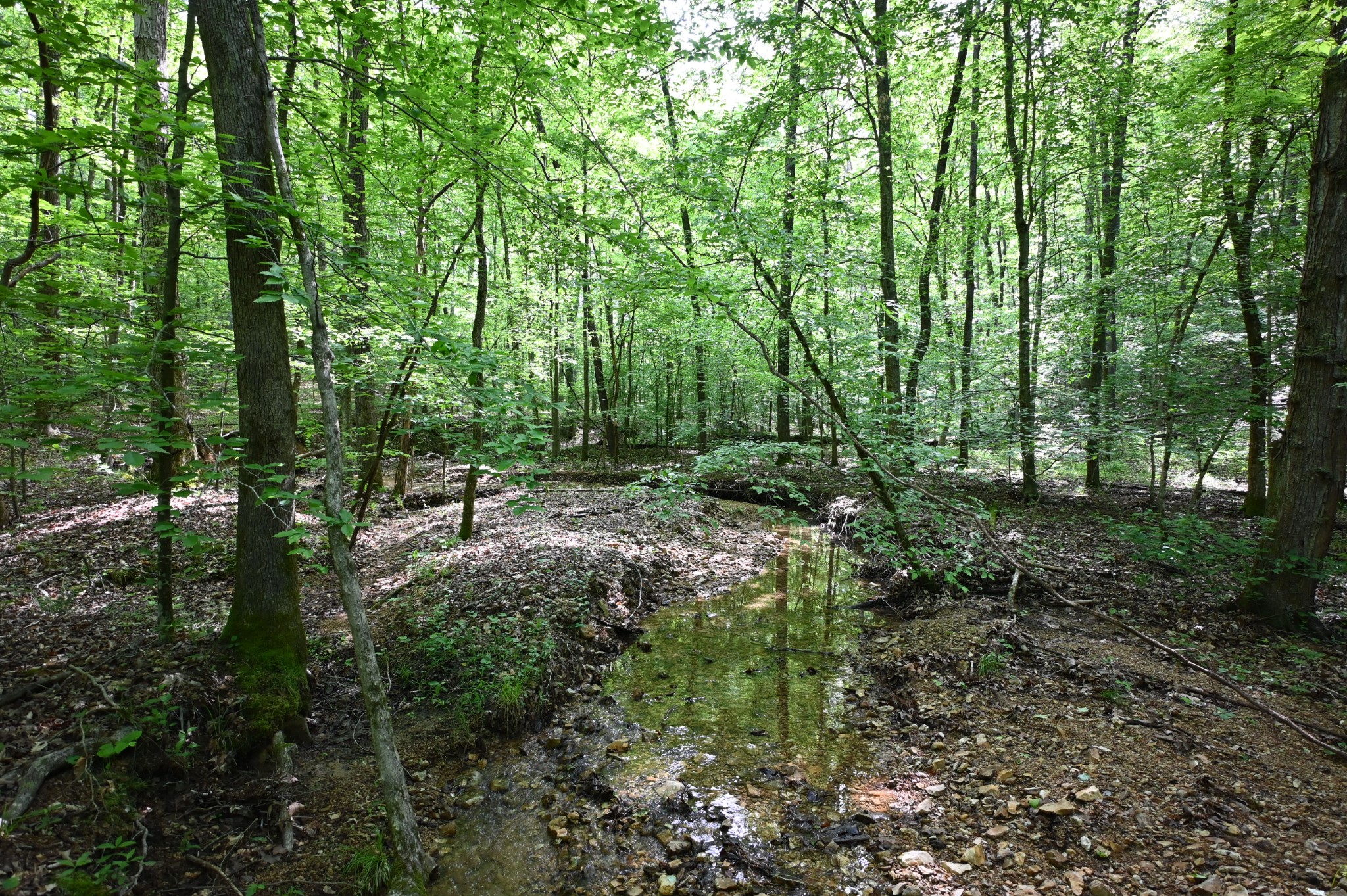 0 Lick Creek Rd Property Photo