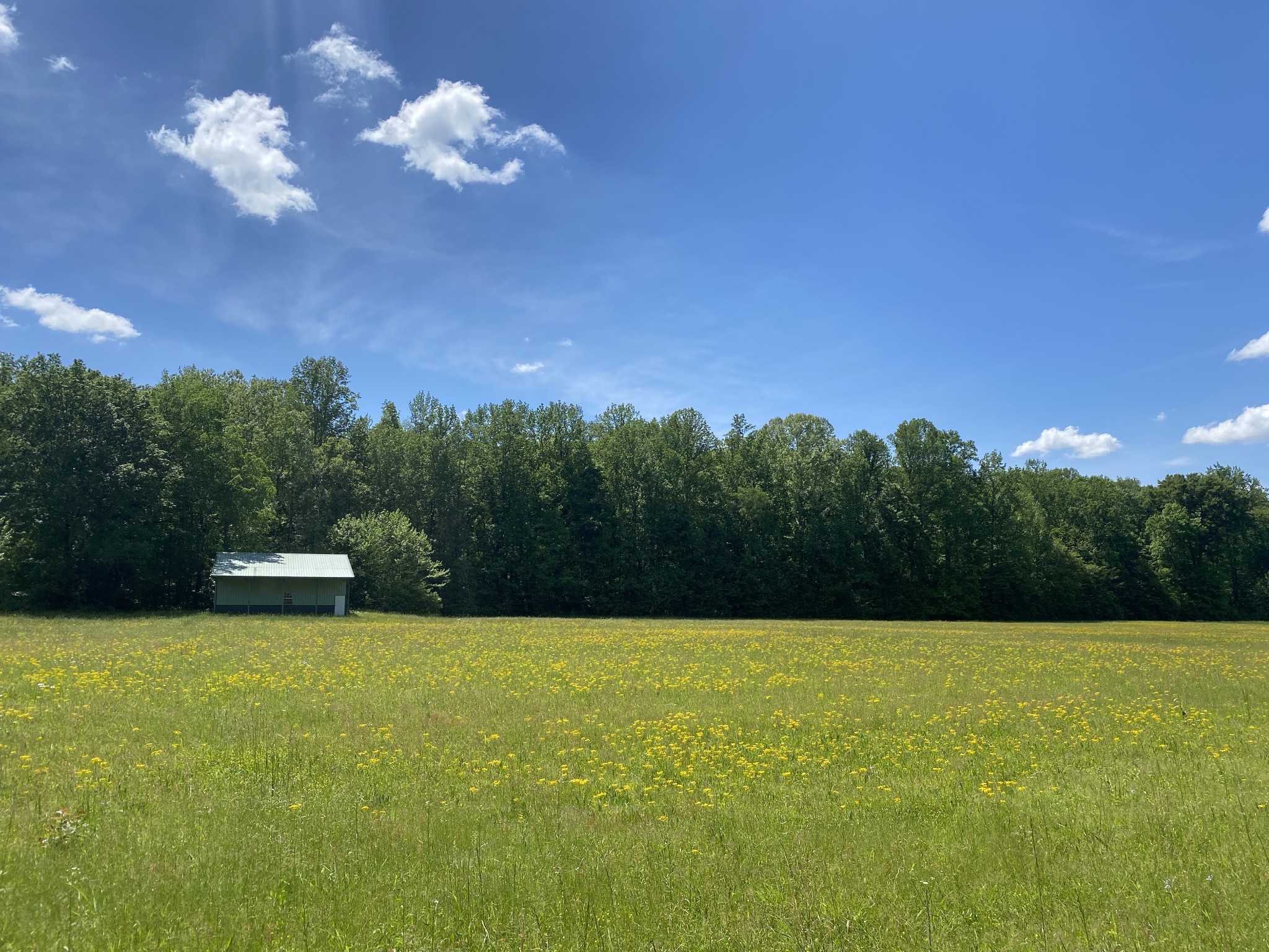 0 Lick Creek Rd Property Photo