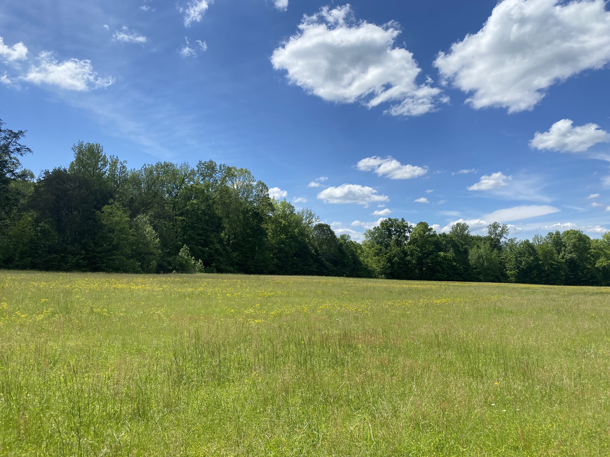 0 Lick Creek Rd Property Photo