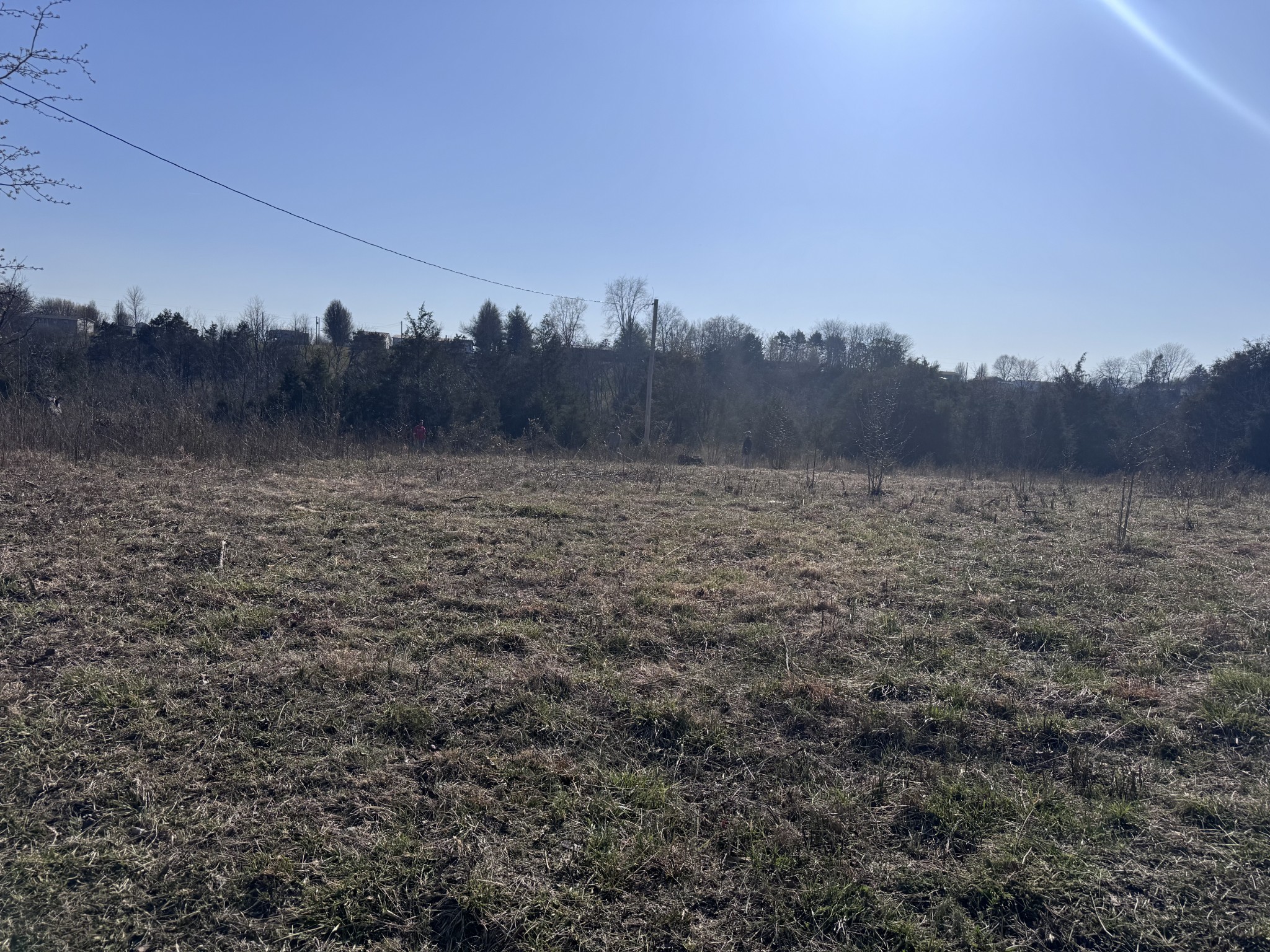 0 Ward Hollow Road Property Photo 1