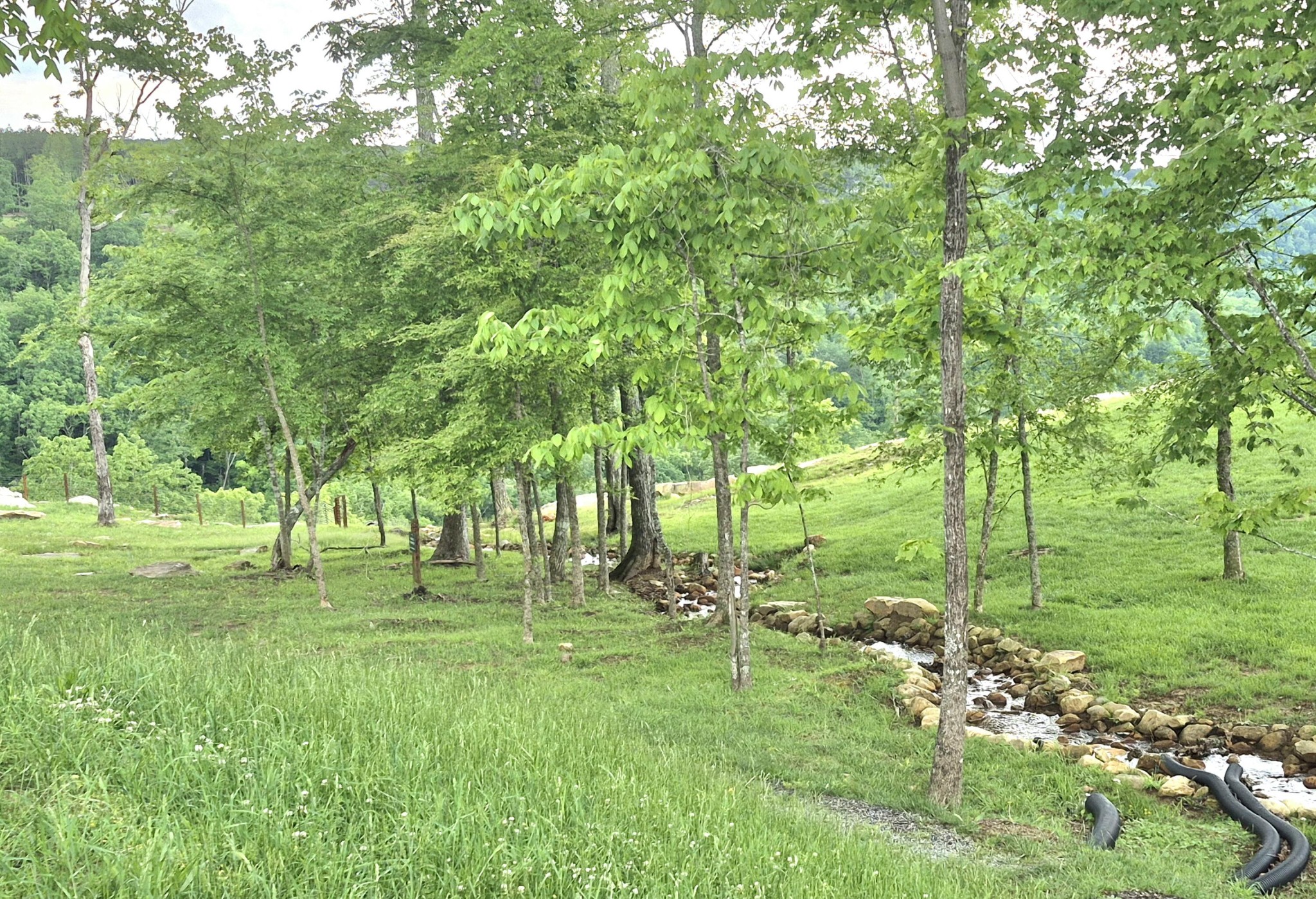 6070 Raulston Falls Road Property Photo 1