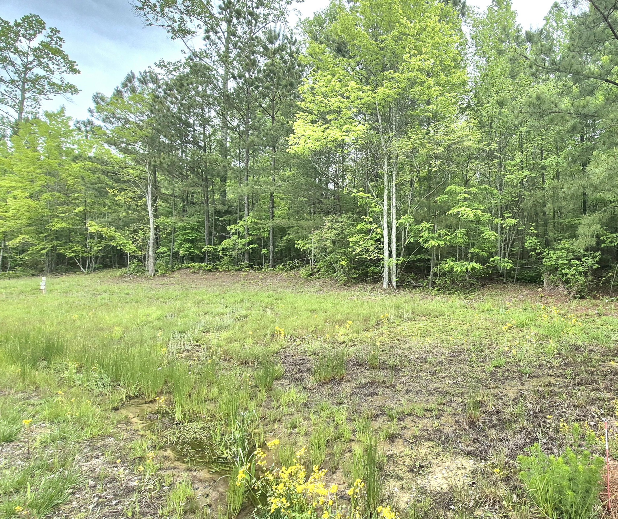 6070 Raulston Falls Road Property Photo 2