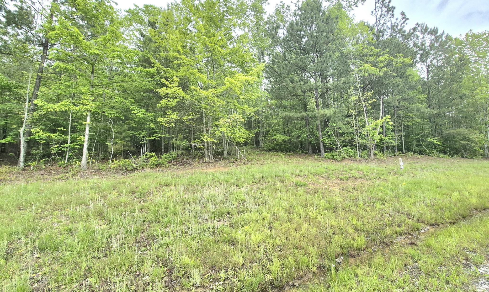 6070 Raulston Falls Road Property Photo 4