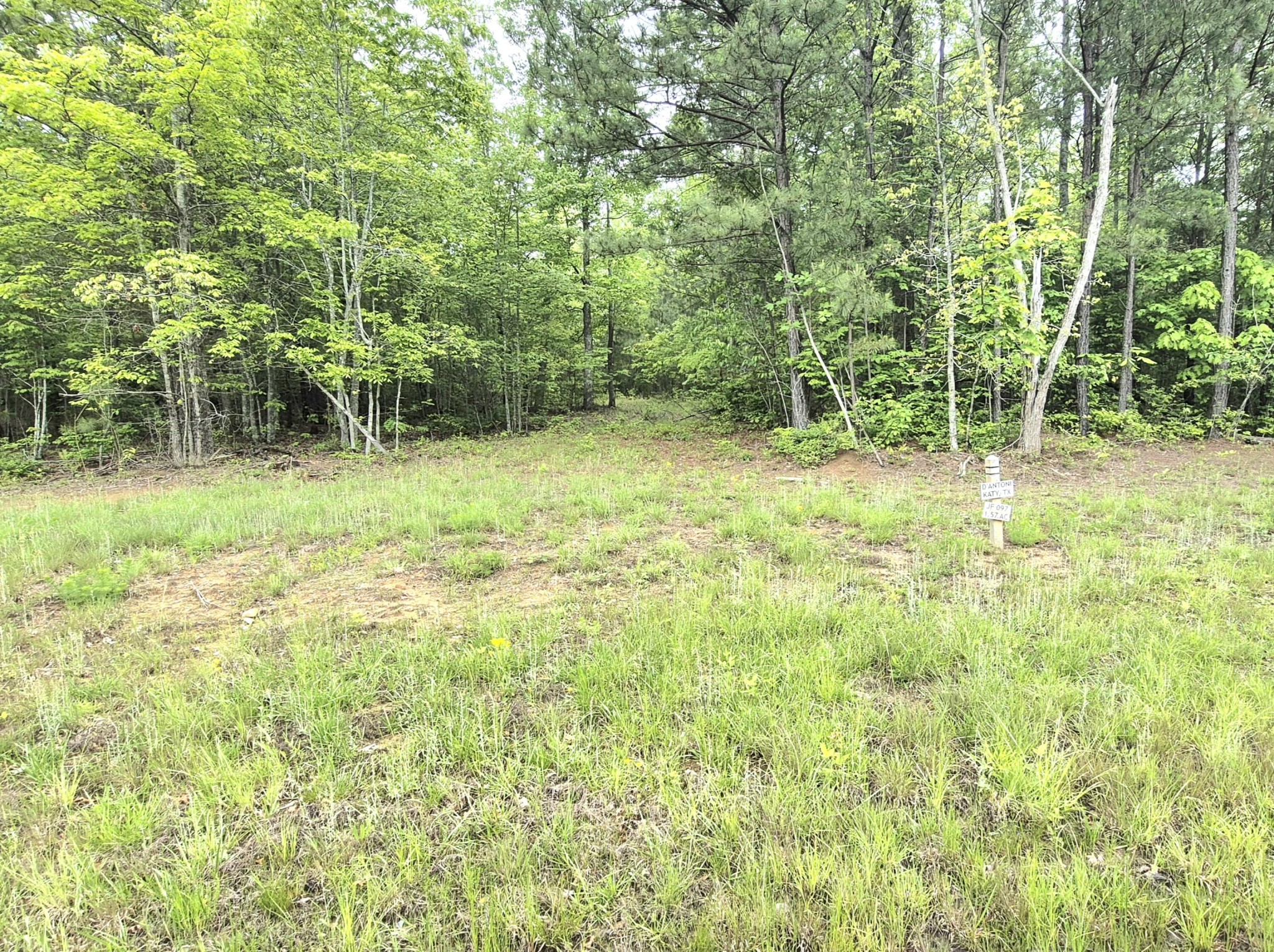 6070 Raulston Falls Road Property Photo 7