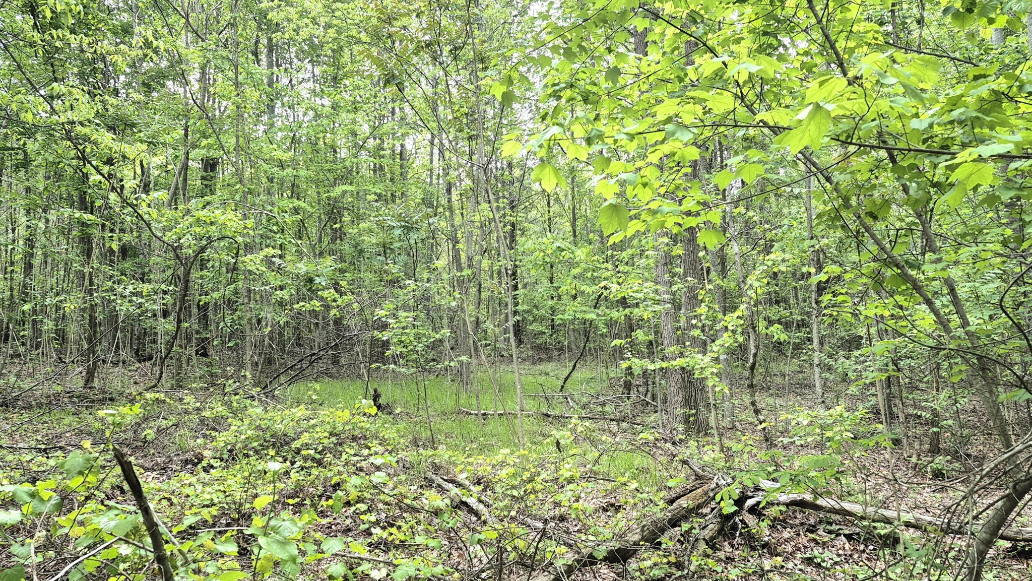 6070 Raulston Falls Road Property Photo 10