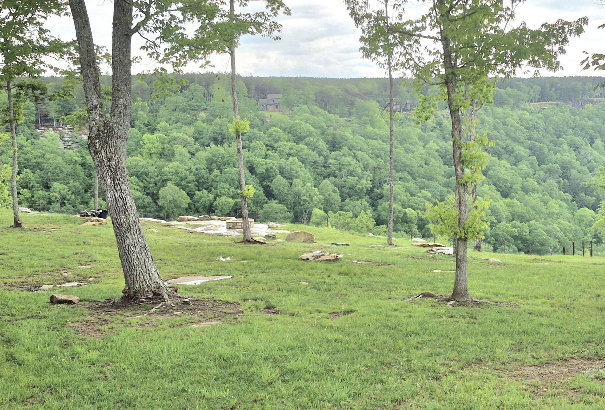 6070 Raulston Falls Road Property Photo 19