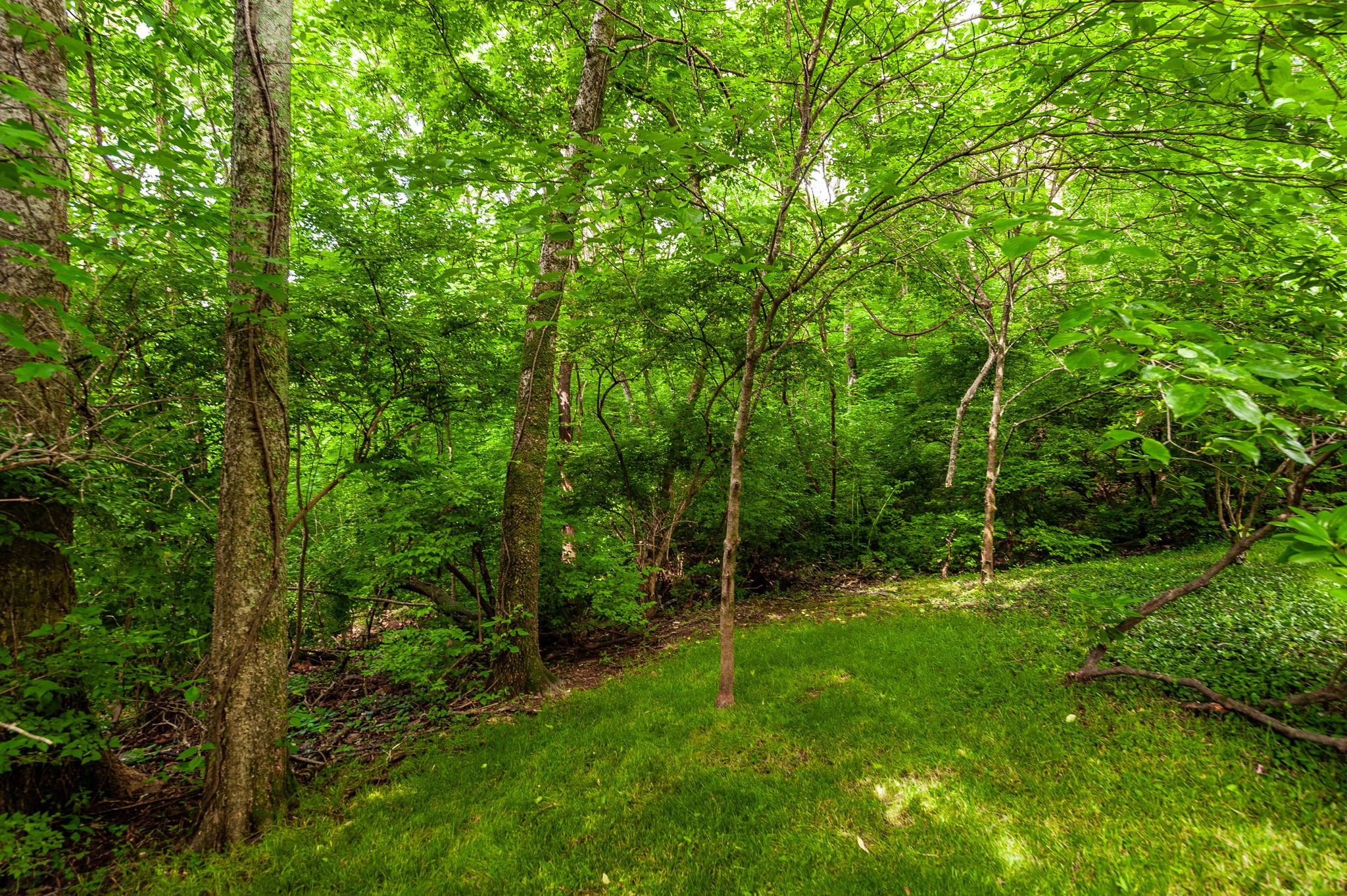 6737 Autumnwood Dr Property Photo 35