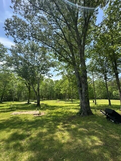 11901 Highway 150 Property Photo 4