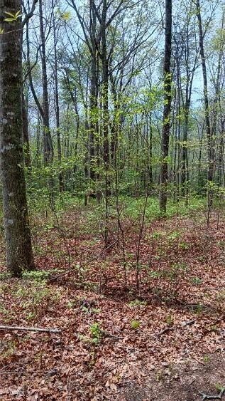 11901 Highway 150 Property Photo 10