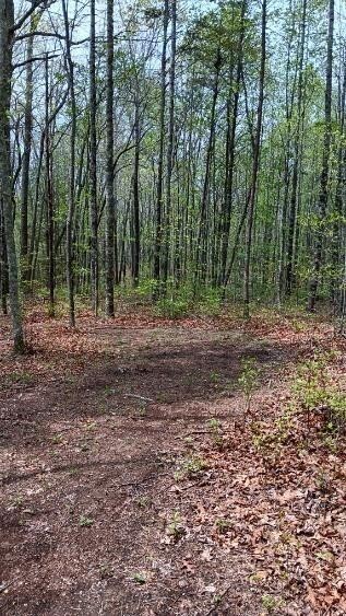 11901 Highway 150 Property Photo 11