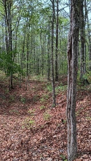 11901 Highway 150 Property Photo 12