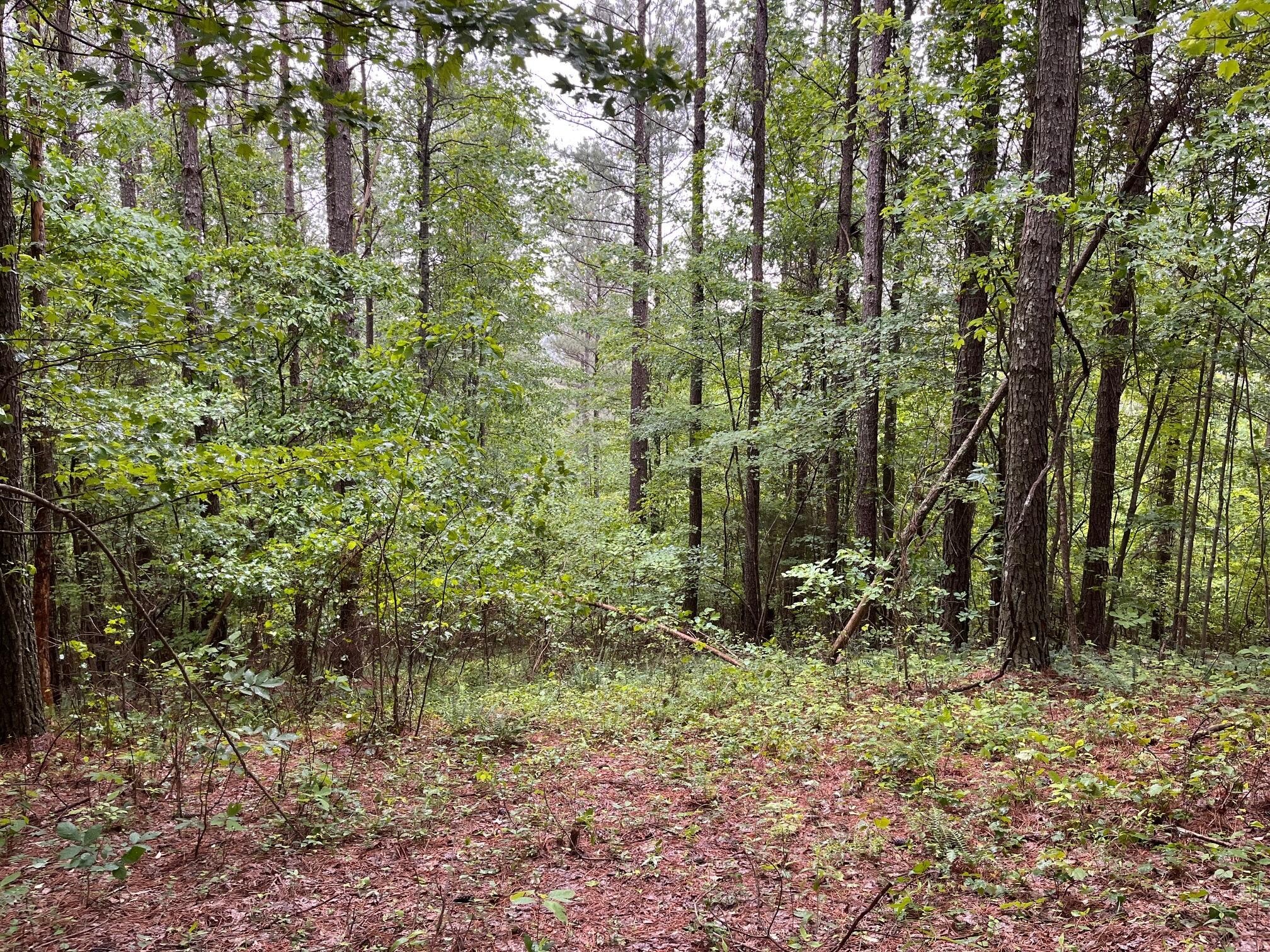 3715 Split Rail Way Property Photo 1