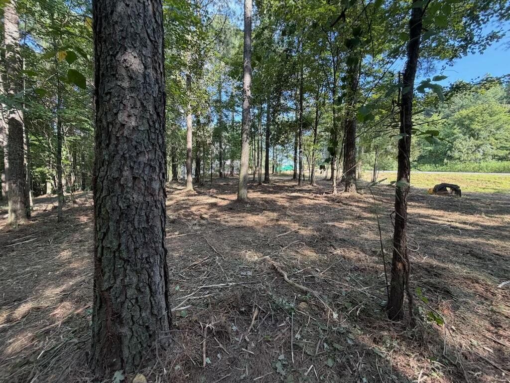 3715 Split Rail Way Property Photo 1