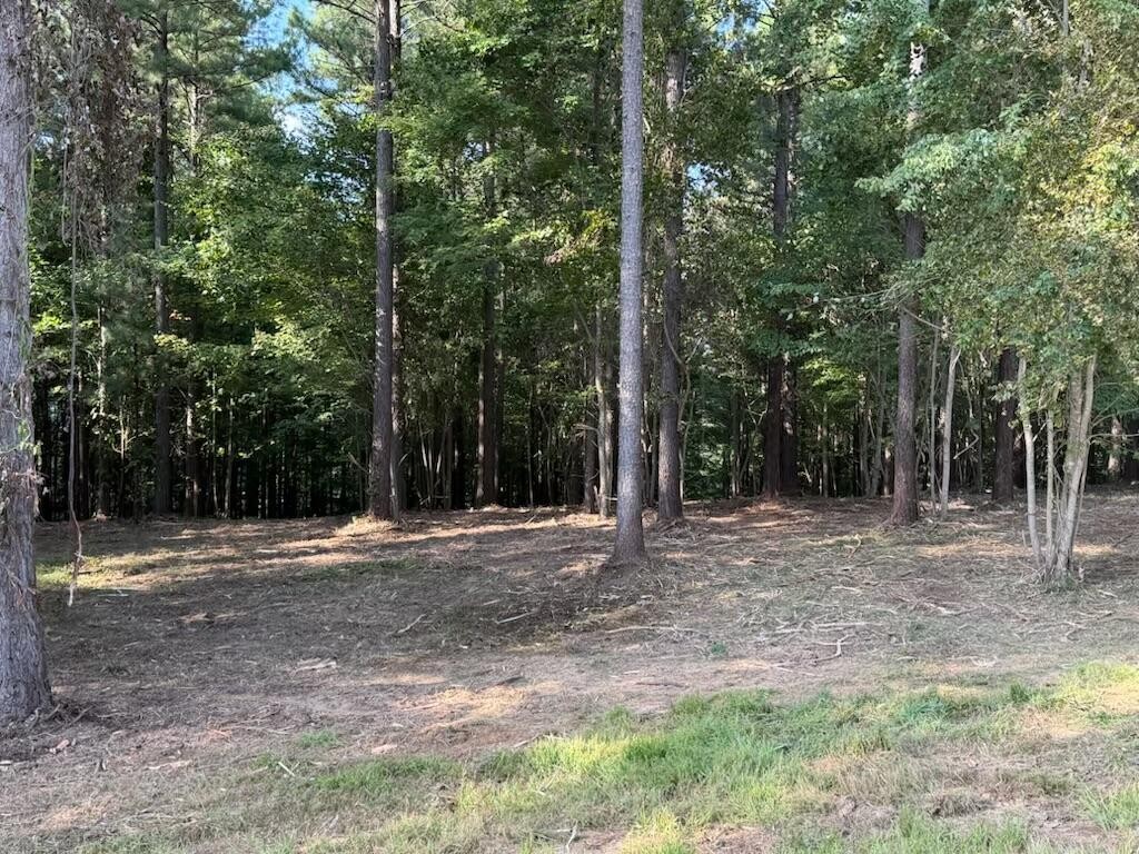 3715 Split Rail Way Property Photo 4