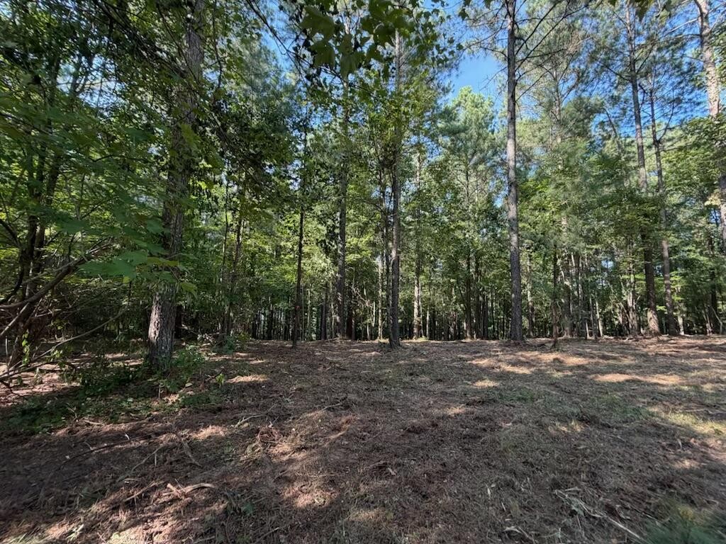 3715 Split Rail Way Property Photo 6