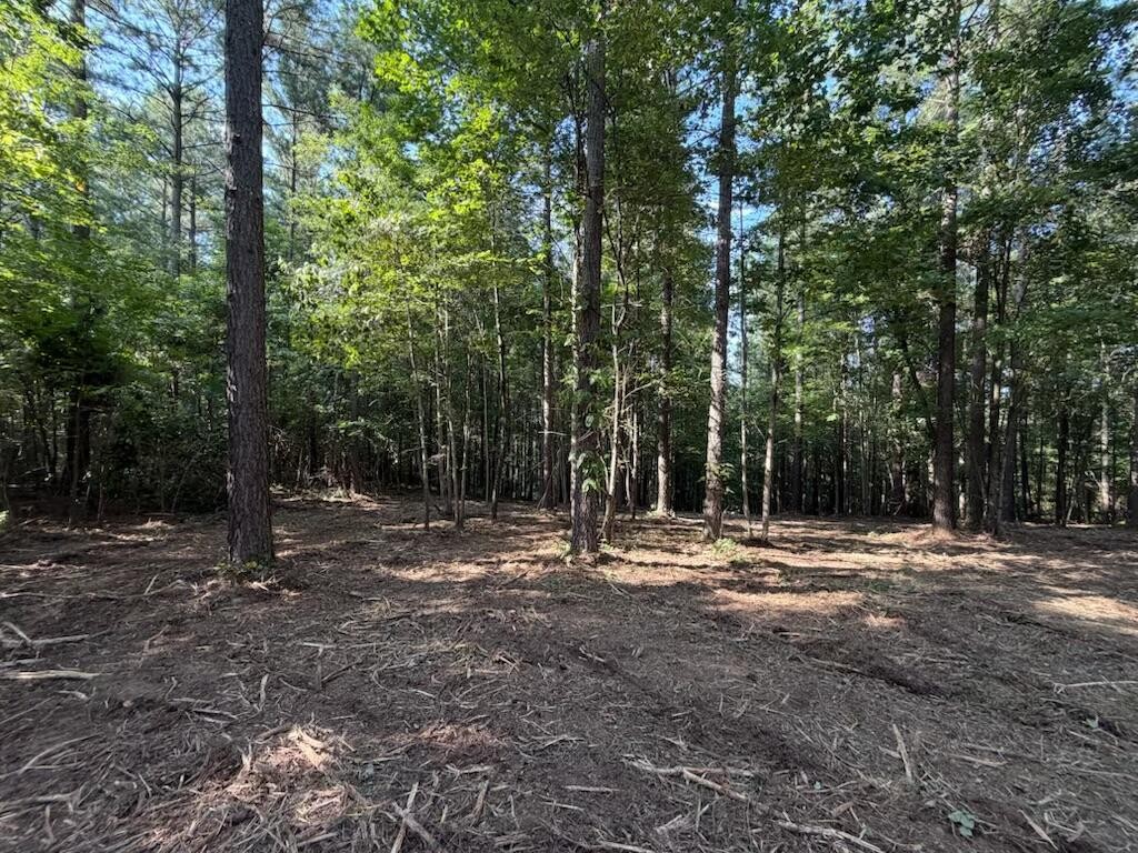 3715 Split Rail Way Property Photo 8
