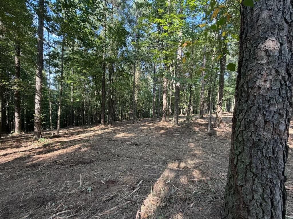 3715 Split Rail Way Property Photo 9