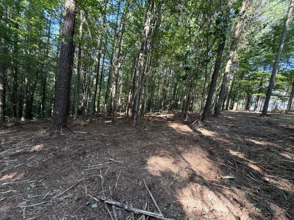 3715 Split Rail Way Property Photo 10