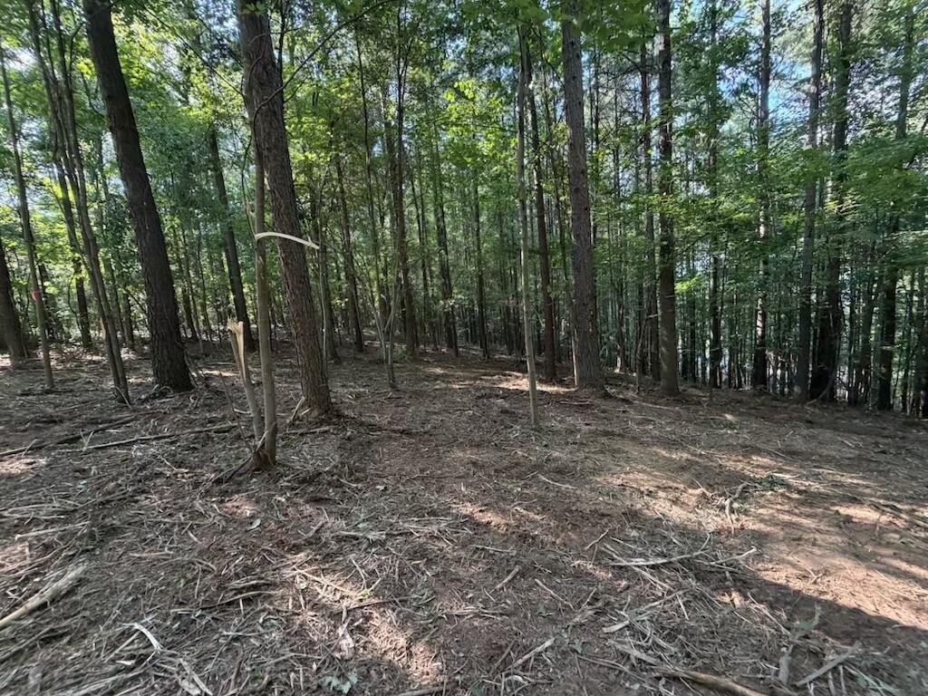 3715 Split Rail Way Property Photo 11