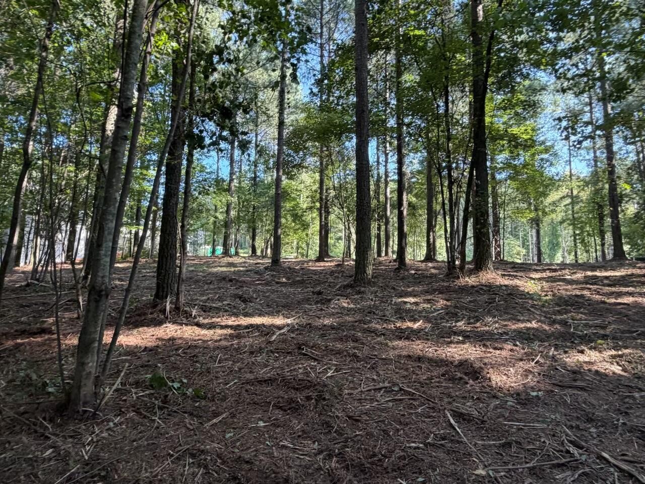 3715 Split Rail Way Property Photo 12