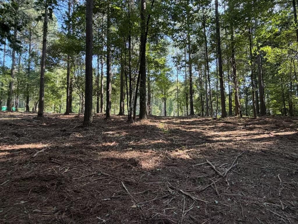 3715 Split Rail Way Property Photo 13