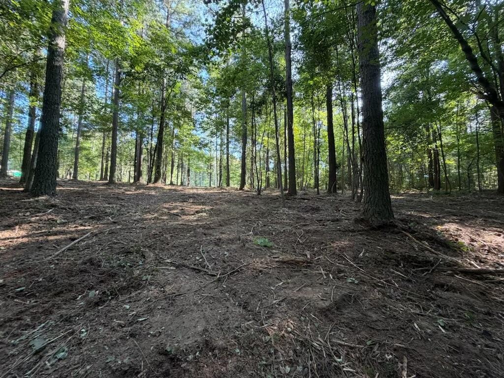 3715 Split Rail Way Property Photo 14