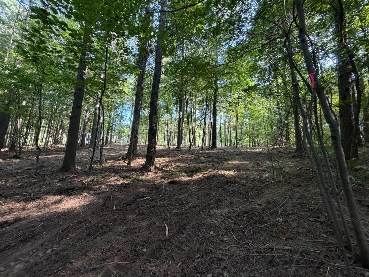 3715 Split Rail Way Property Photo 15