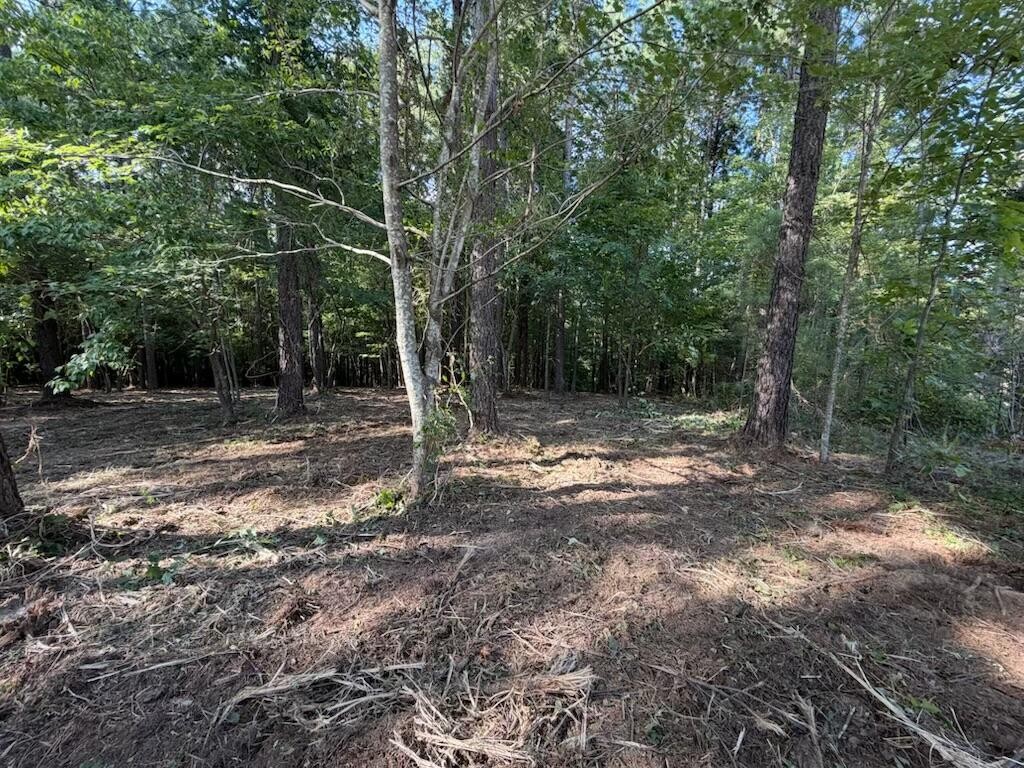 3715 Split Rail Way Property Photo 17