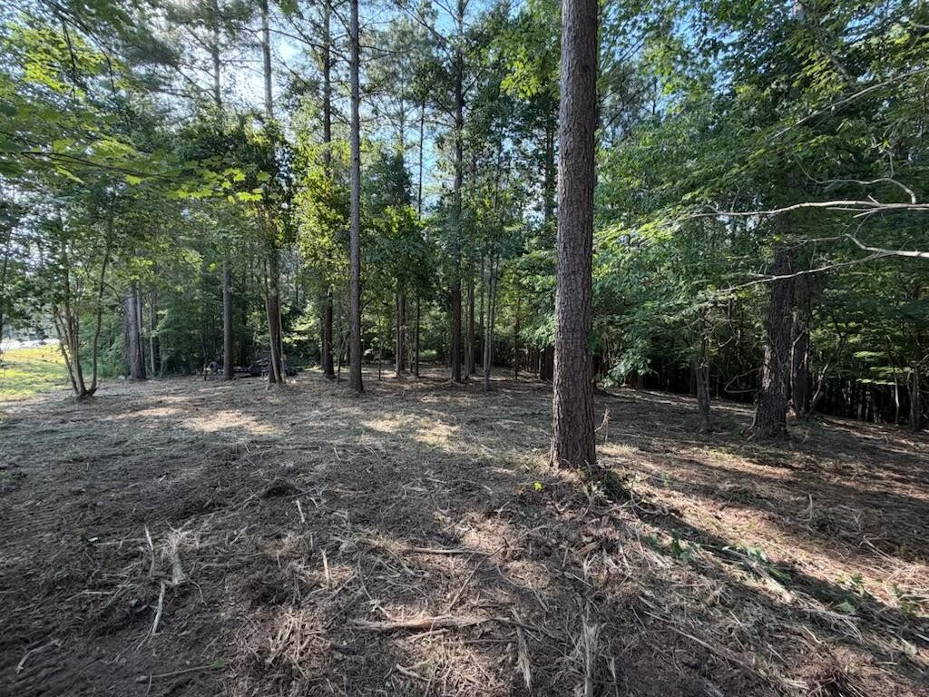 3715 Split Rail Way Property Photo 18